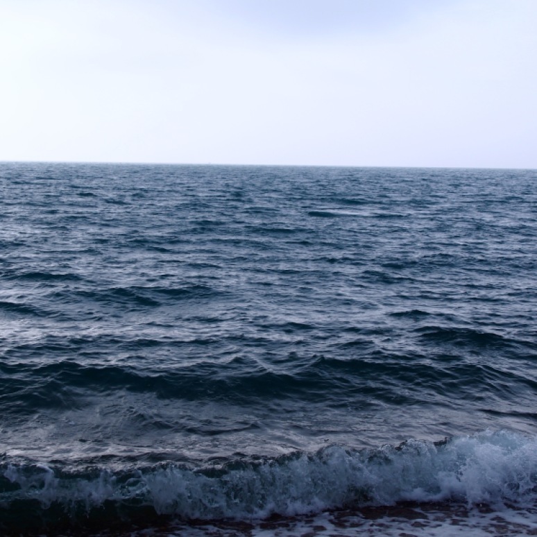 The sea.